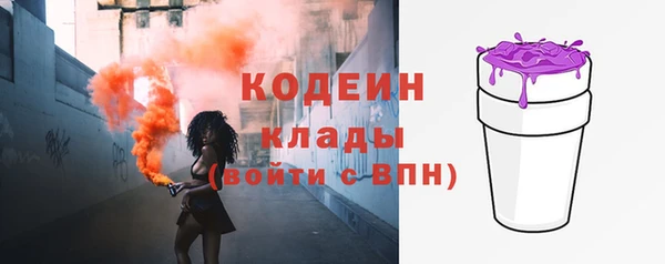 шишки Переславль-Залесский