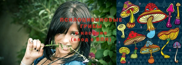 Альфа ПВП Сосновый Бор